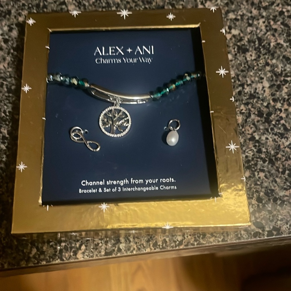 Alex and Ani Family Interchangeable Charm Stretch Bracelet Gift Set